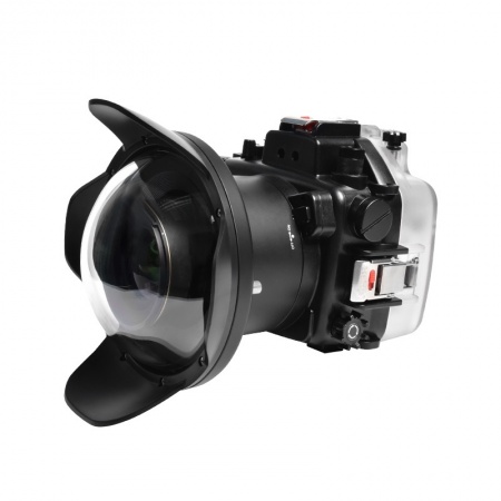 SEAFROGS caisson pour Nikon Z6 / Z7