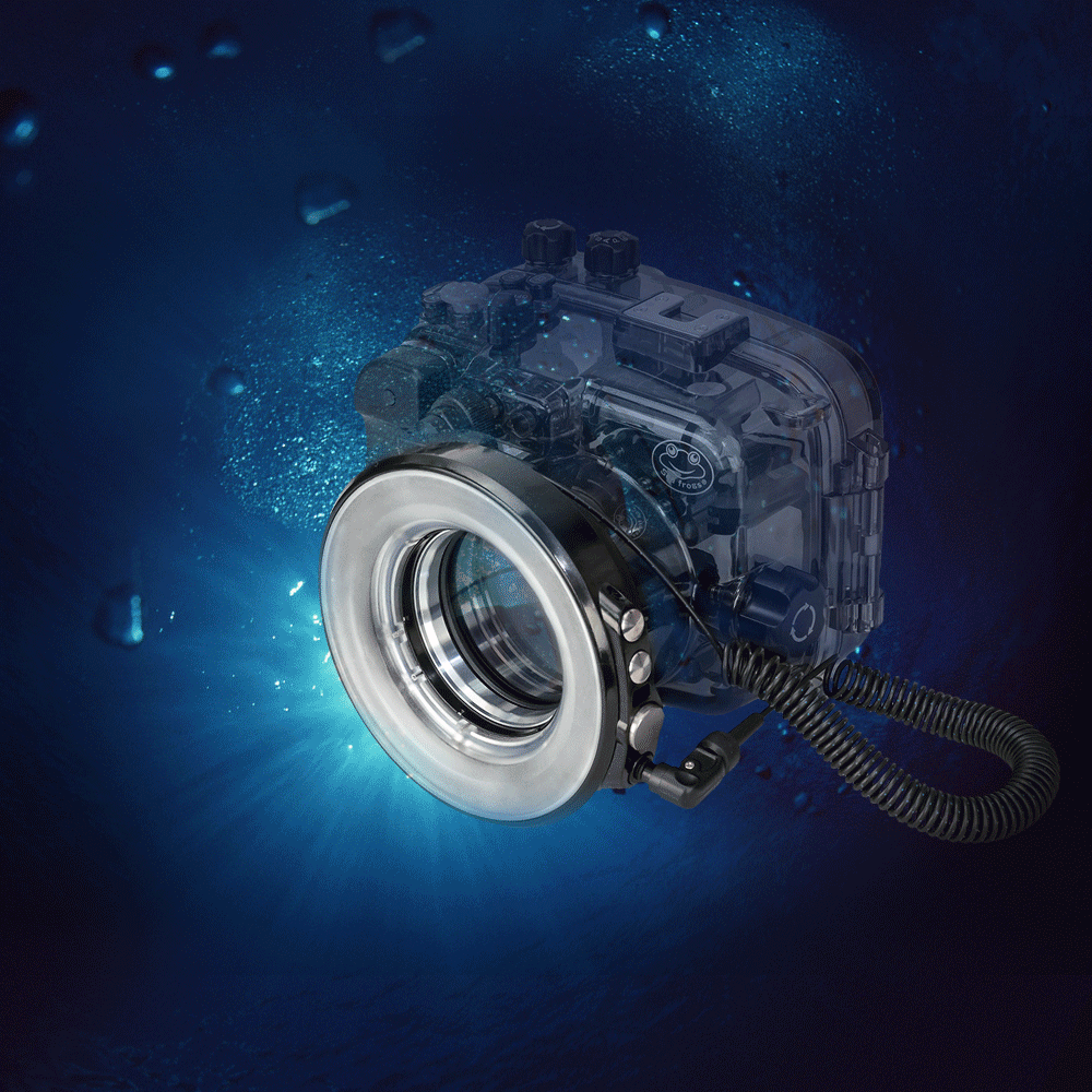 SEAFROGS &Eacute;clairage annulaire 1200 Lumens 