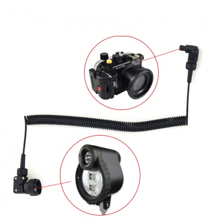 SEAFROGS Fibre optique Seafrogs/Inon 