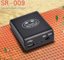 Trigger Flash (Pour S125)